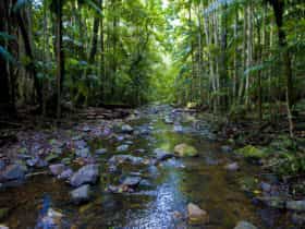 Yarrahapinni Mountain