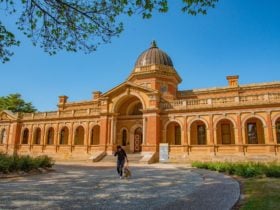 Front of Goulburn Courthouse with lady walking a dog