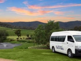 Love the Hunter Valley