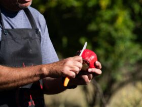 aril estate pomegranate farm tour