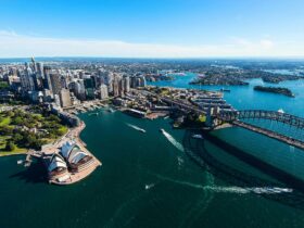 Sydney Harbour Scenic