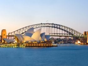 Spectacular views of the harbour attractions