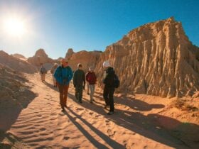 Exploring the Mungo lunette