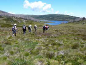 Roof of Australia, hiking, walking