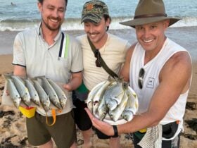 Group of Anglers catching some of the tastiest fish in the ocean, sand whiting and silver bream.