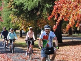 Autumn is a great time for cycling in N.N. Victoria