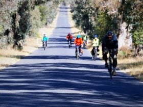 Cycling on the road less travelled