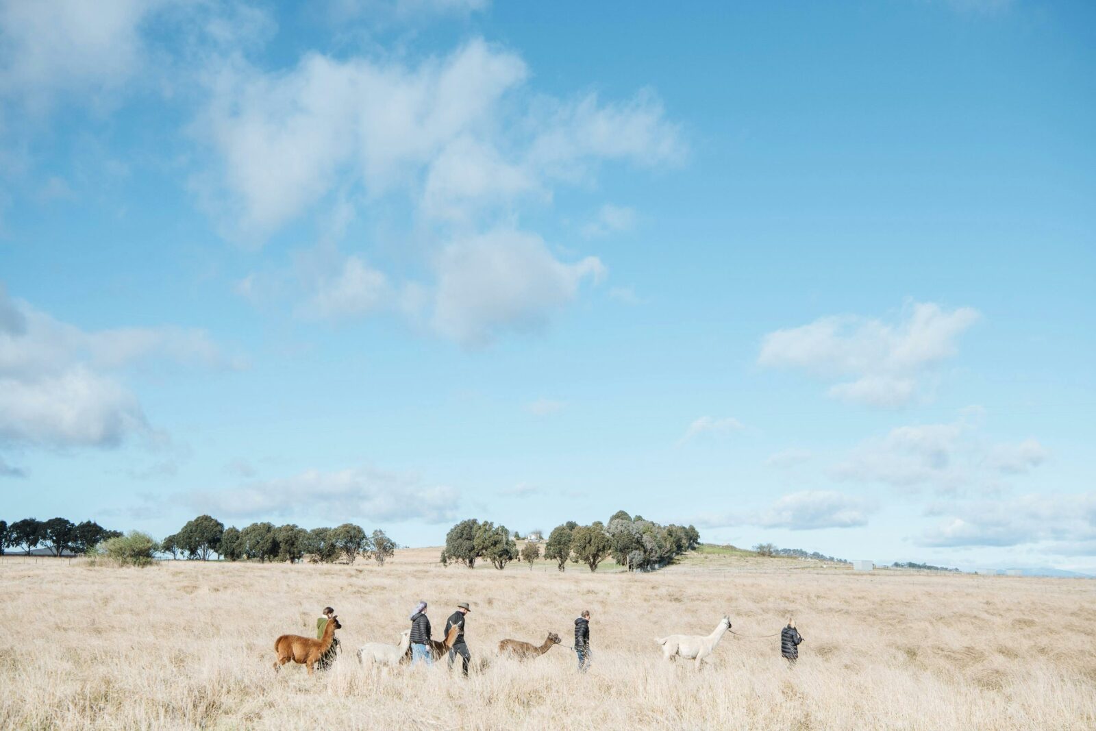 Walking tour across our farm