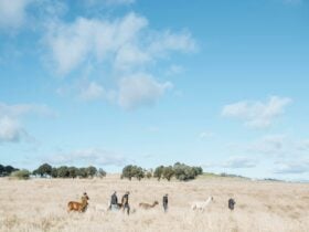 Walking tour across our farm