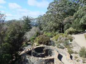 Aspect across the botanic gardens