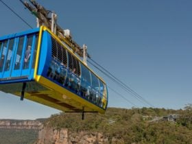 Blue Mountains Tours