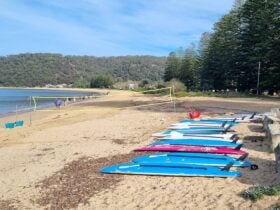 A line of stand up paddle boards next to a beach volleyball net at Patonga beach