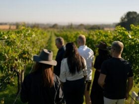 Group of people walking through the vines at Rowlee Wines