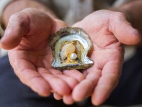 delicious seafood