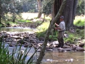 Fly Fishing