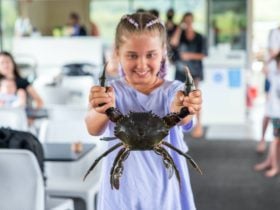 child holding a mudcrab