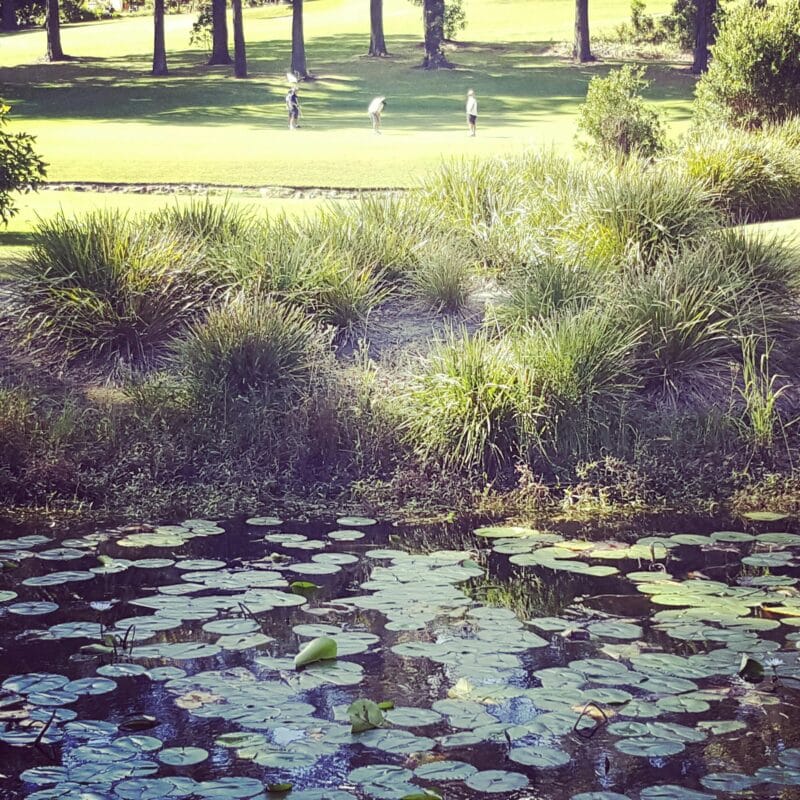 Hilltops is rated in the top 100 Golf courses in Australia by Australian Golf Digest