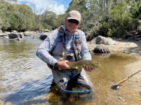 A fisherman kneeling in the water holding a brown trout