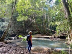 Unicorn Falls on the Gidjuum Gulganyi Walk
