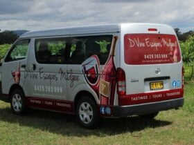D'Vine Escapes Mudgee Wine Tasting Tours