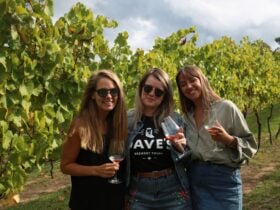 The Hunters' best vins & Gins