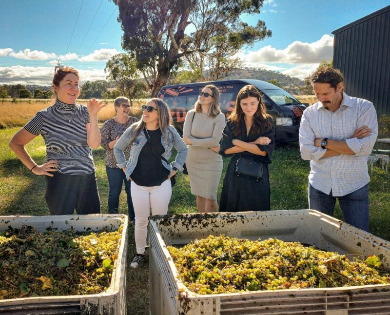 Winemaker and tour group with freshly harvested grapes
