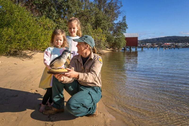Guide with taxidermy penguin