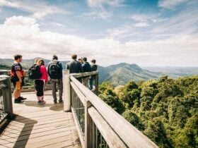 Ranger guided Tour on the skywalk with a group