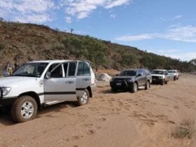 Eldee Station Four Wheel Drive Tag Along Tours