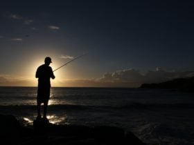 fisherman