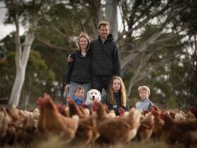 Mussett Family with their hens