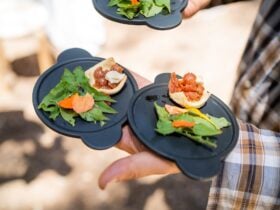 Come out for an edible adventures. Learn about plants, how to cook them and sit down for a feast.
