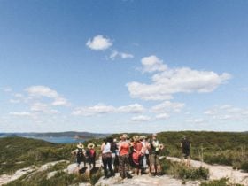 Bouddi National Park tour