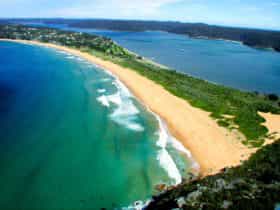 Palm Beach