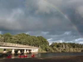 Canoes in minnamurra river near a bridge with rainbow in the sky