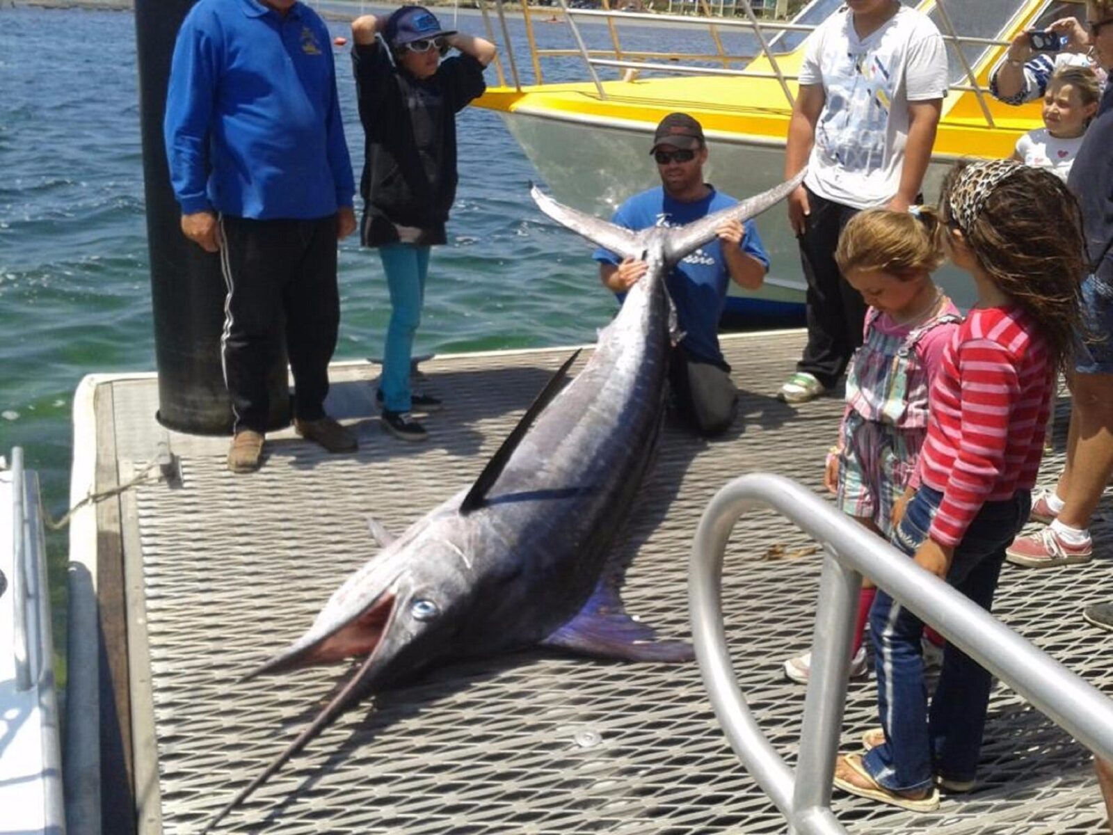 Headland Fishing Charters Merimbula