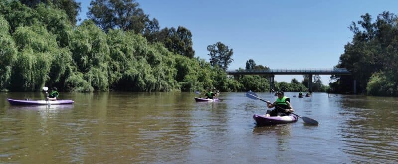 Paddling by one on Wagga