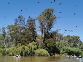 In Motion Fitness Kayak Tours