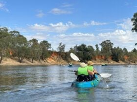 Group of friends paddling the Murrumbidgee River at Narrandera - Red Bank.