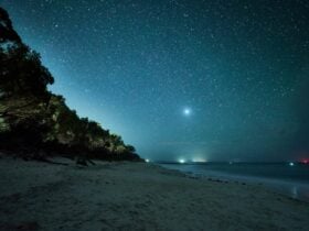 beach stars
