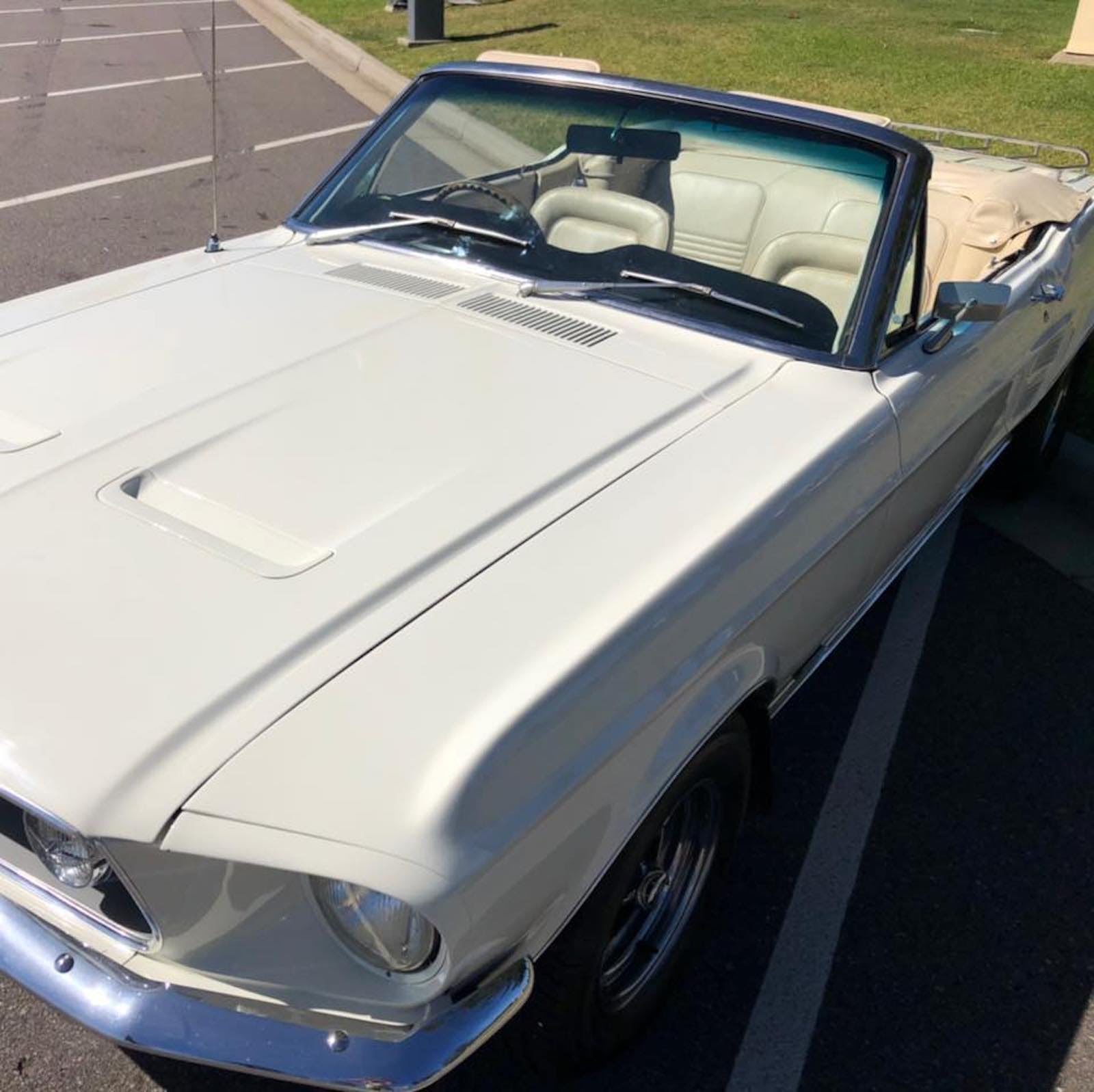 Our Magical Mustang