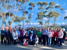 Narrow Neck Lookout