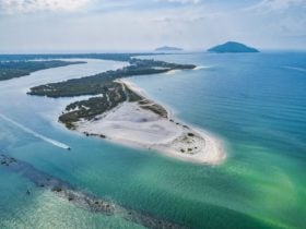 Myall Coast Tours (starts mid-December)