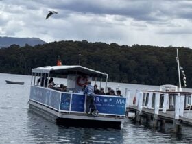 Boat tour