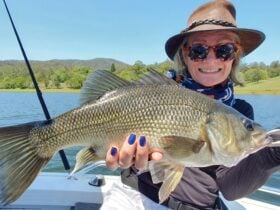Catch and Release Only