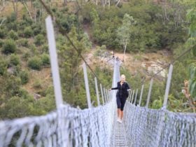 Bowtells Swing Bridge over the Coxs River on The Six Foot Track