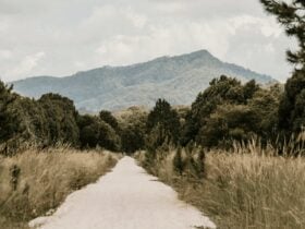 Northern Rivers Rail Trail