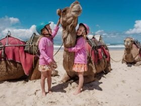 camel safaris