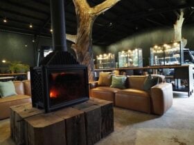 Inside Quoll Campus - Our Interpretive centre on the sanctuary including museum and library spaces.