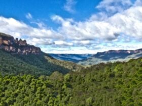 Real Sydney Tours
